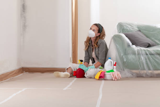 Reliable Mold Inspection contractor in Fairfield, NJ by WQB Mold Removal